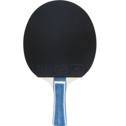 Double Fish - DF-02 Bordtennis bat