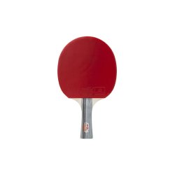 Double Fish - DF-01 Bordtennis bat