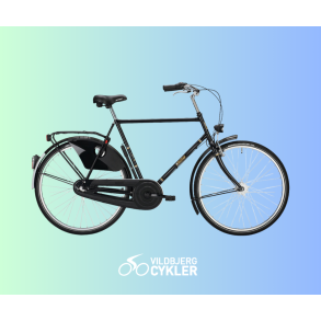 Falter Holland H1.0 2025  Klassisk hollandsk cykel i tysk topkvalitet