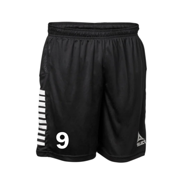 Herningsholm Skolen - Shorts 