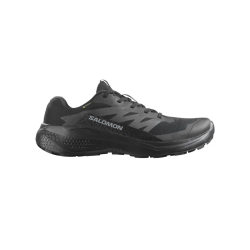 Salomon Alphaglide GTX  Let og Beskyttende Vandresko til Herrer