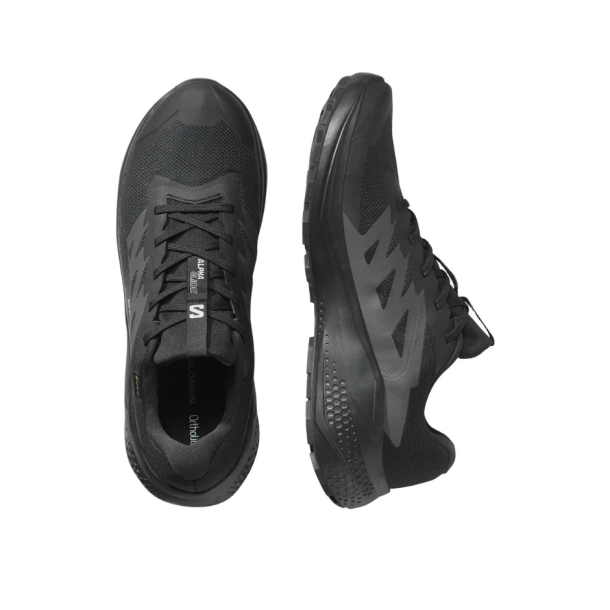 Salomon Alphaglide GTX  Let og Beskyttende Vandresko til Herrer