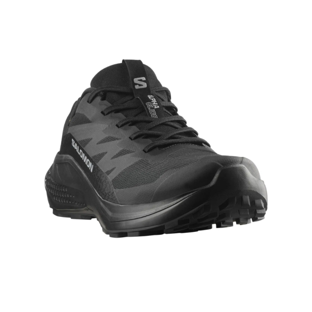 Salomon Alphaglide GTX  Let og Beskyttende Vandresko til Herrer