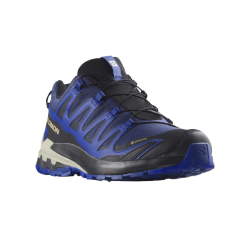 Salomon XA Pro 3D V9 GORE-TEX  Vandttte og Stabile Vandresko til Herrer
