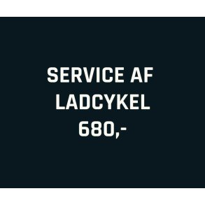 Service af Ladcykel